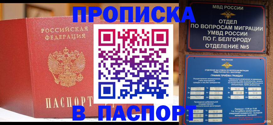 временная регистрация в квартире в Почепе
